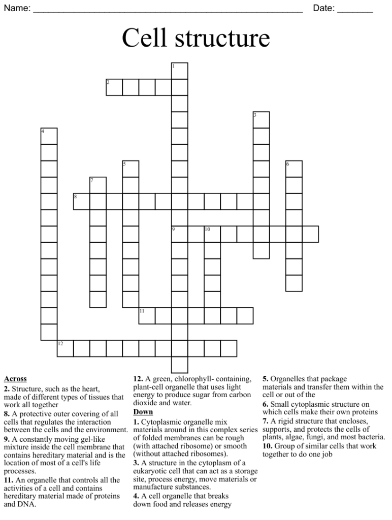 Cell Structure Crossword Puzzle Answer Key Free Crossword Puzzles 