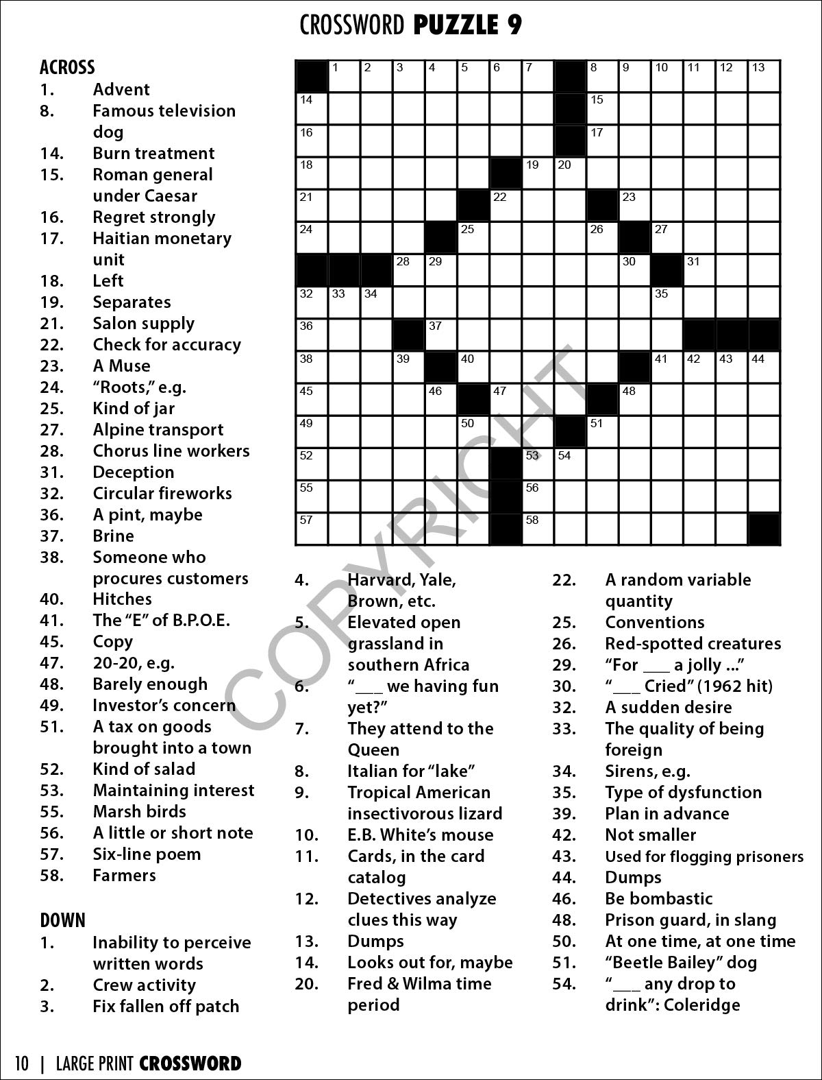 buy-puzzles-for-visually-impaired-133-extra-large-print-themed-word-search-puzzles-online-at